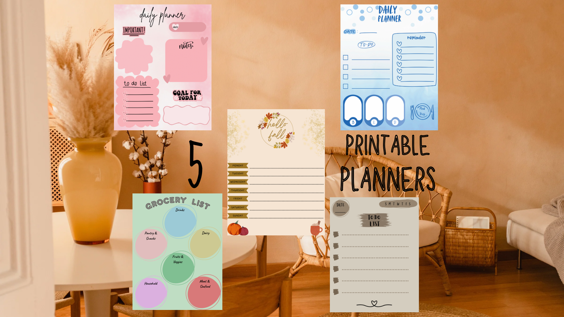 5 Pack Organization Bundle